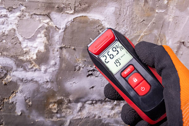 Best Kitchen Mold Remediation in Stanford, KY