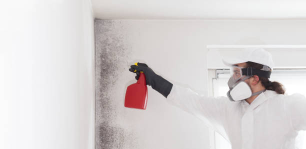 Best Post-Flood Mold Remediation in Stanford, KY